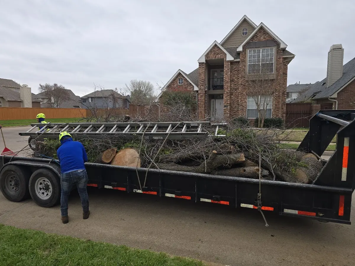 Expert Tree Removal with proper safety equipment in Glen Easton